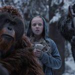 Cum sa urmaresti toate filmele „Planeta Maimutelor” in ordine online