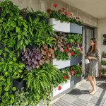 Cum să creezi o grădină verticală spectaculoasă în spații mici – Ghid complet 2026 (balcon, terasă și pereți)